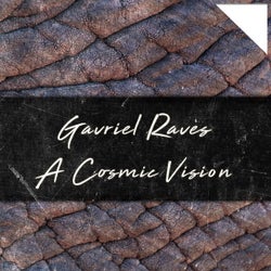 A Cosmic Vision