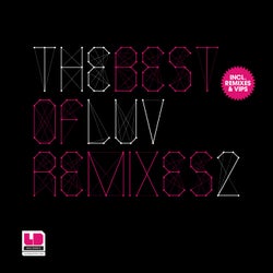 The Best Of LuvDisaster Vol. 2 incl. Remixes & VIPs