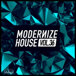 Modernize House Vol. 36