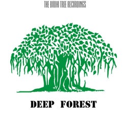 Deep Forest