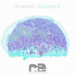 Stereo Kinesis