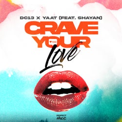 Crave Your Love (feat. Shayan) (Extended Mix)