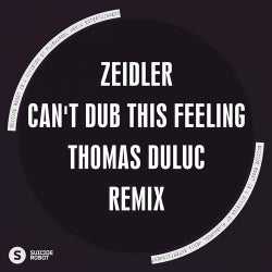 Can't Dub This Feeling Remix