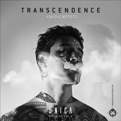 Transcendence