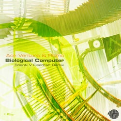 Biological Computer