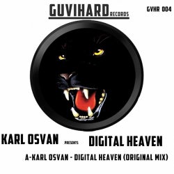 Digital Heaven