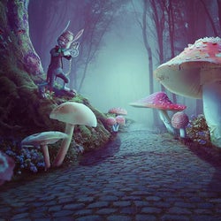 Wonderland