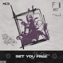 Set You Free - VERCU Remix