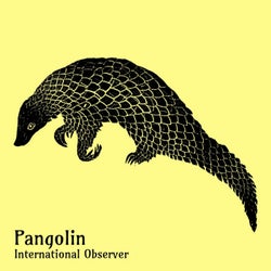 Pangolin