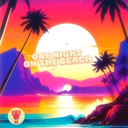 One Night On The Beach