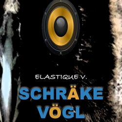 Schräke Vögl