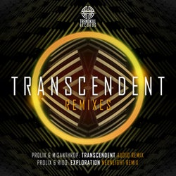 Transcendent Remixes