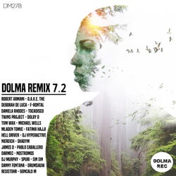 DOLMA REMIX 7 YEARS TWO