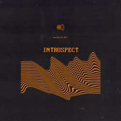 Introspect EP