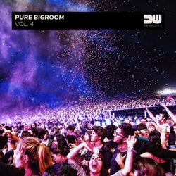 Pure Bigroom, Vol. 4