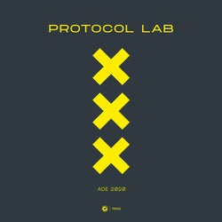 Protocol Lab - ADE 2020 - Extended