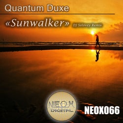 Sunwalker (Dj Solovey Remix)