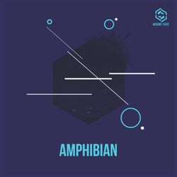 Amphibian