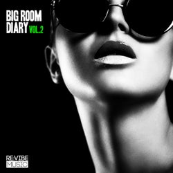 Big Room Diary, Vol. 2