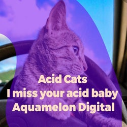 I Miss Your Acid Baby