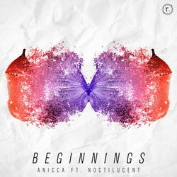 Beginnings