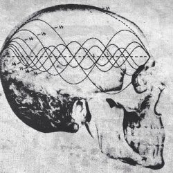 frequency