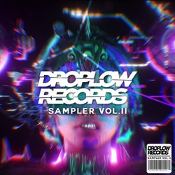 Droplow Records Sampler, Vol. 2