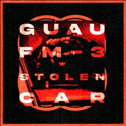 Stolen Car