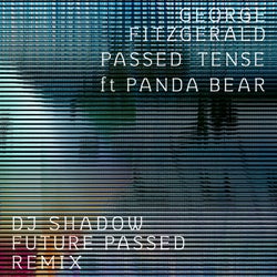 Passed Tense - DJ Shadow Future Passed Remix