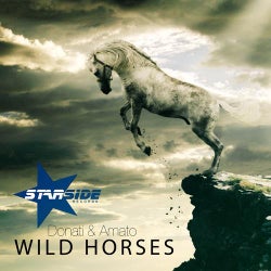 Wild Horses