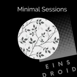 Minimal Sessions