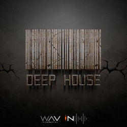 WAV IN LAB - DEEP HOUSE - 130