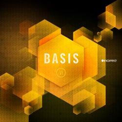 Basis VI