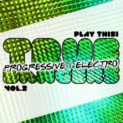 True Progressive & House Bangers, Vol. 2