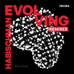 EVOLVING (Remixes)