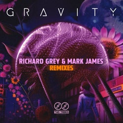 Gravity (Remixes)