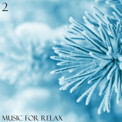 Music For Relax, Vol. 2