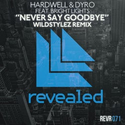 Never Say Goodbye - Wildstylez Remix