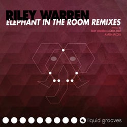 Elephant in the Room Remixes