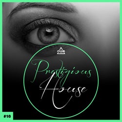 Prestigious House, Vol. 16