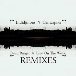 Dead Ringer / Pry On The Weak Remixes