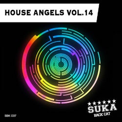 House Angels, Vol. 14