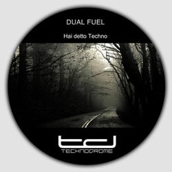 Hai detto techno