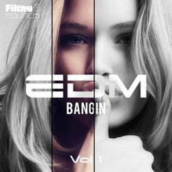 Bangin EDM, Vol. 1