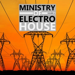 ministry of electro house, 11