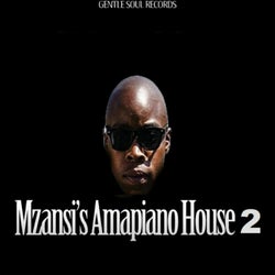 Mzansi's Amapiano House 2