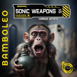 Sonic Weapons, Vol. 1