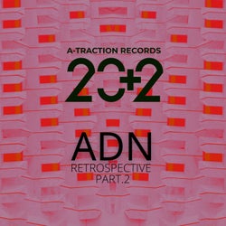 ADN RESTROSPECTIVE (Part.2)