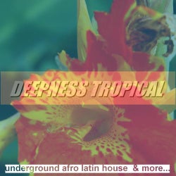 Deepness Tropical: Underground Afro Latin House & More