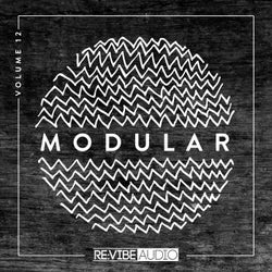 Modular, Vol. 12